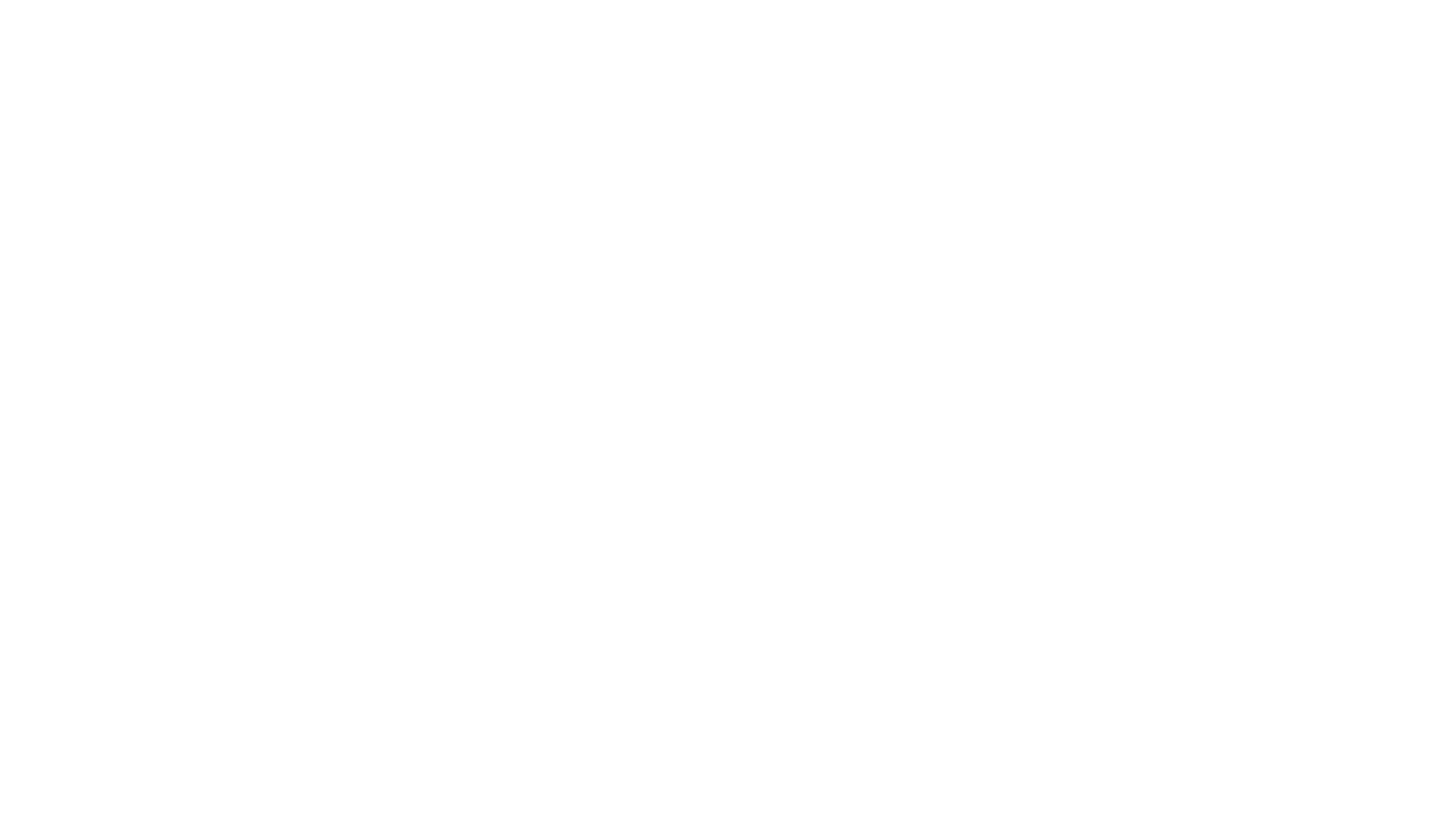 BCV Corporation Pte Ltd logo