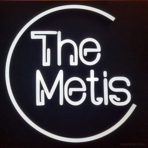 The Metis Designers Studio pte ltd logo