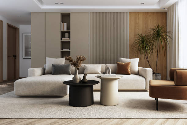 Elderly-Friendly Renovation in Singapore: Designing for Aging in Place