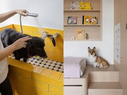 Pet-Friendly Renovation Tips for Singapore Homes